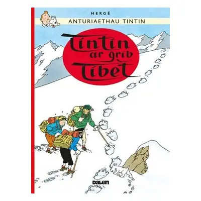 Tintin: Tintin ar Grib Tibet - Herge, Dafydd