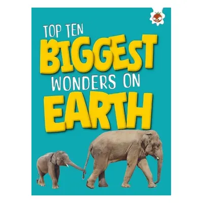 Top Ten Biggest Wonders on Earth - Allan, John