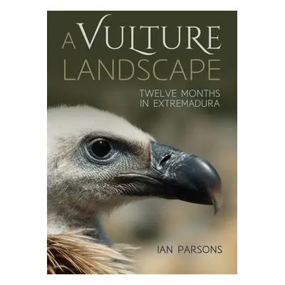 Vulture Landscape