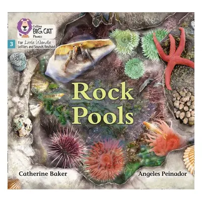 Rock Pools - Baker, Catherine