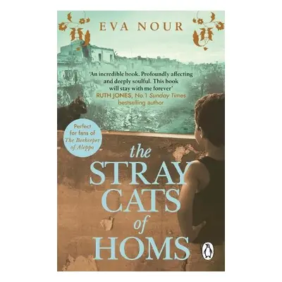 Stray Cats of Homs - Nour, Eva