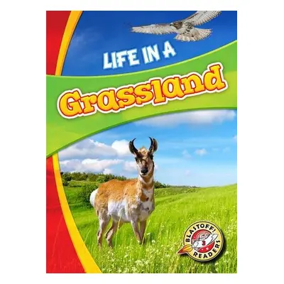 Life in a Grassland - Waxman, Laura Hamilton