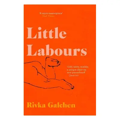 Little Labours - Galchen, Rivka