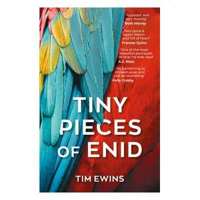 Tiny Pieces of Enid - Ewins, Tim