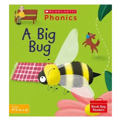 A Big Bug (Set 3) - McFarlane, Karra