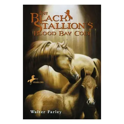 Black Stallion's Blood Bay Colt - Farley, Walter