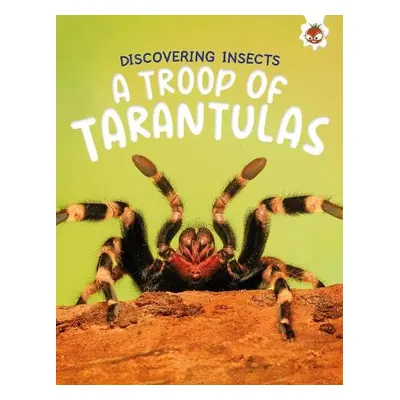 Discovering Insects: A Troop of Tarantulas - Storm, Rebecca