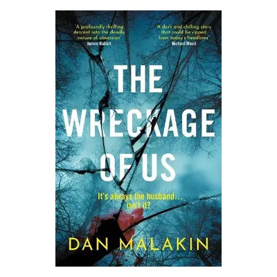 Wreckage of Us - Malakin, Dan