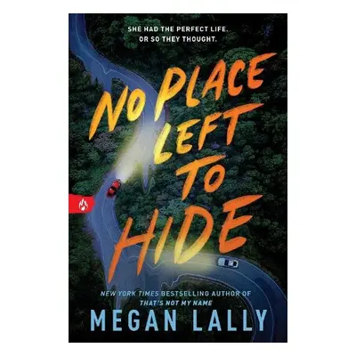 No Place Left to Hide - Lally, Megan