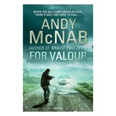 For Valour - McNab, Andy