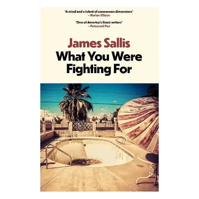 What You Were Fighting For - Sallis, James