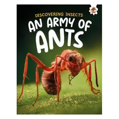 Discovering Insects: An Army of Ants - Storm, Rebecca