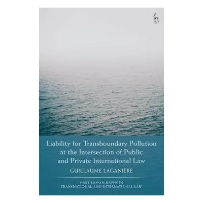 Liability for Transboundary Pollution at the Intersection of Public and Private International La