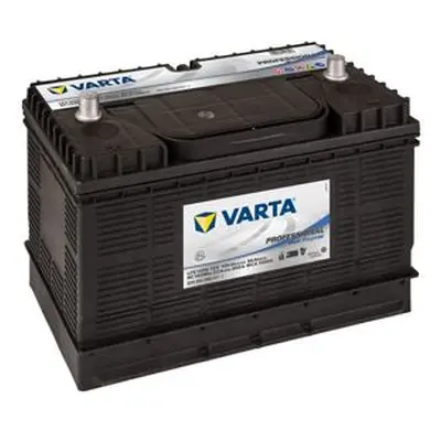 Trakční baterie VARTA Professional DUAL Purpose LFS105N