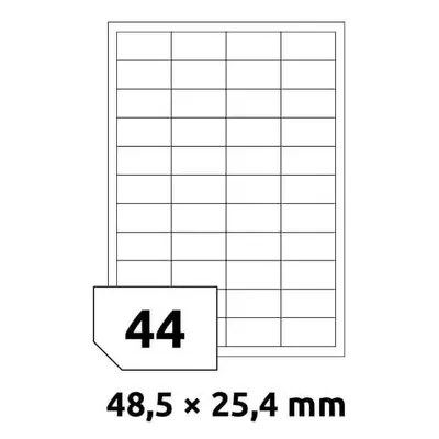 Rayfilm 48,5x25,4 mm 100 archů R0ECO.0203A