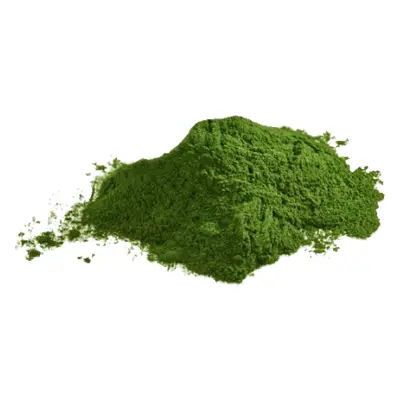 LifeLike Chlorella prášek, 100g