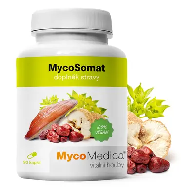 MycoMedica MycoSomat 90 kapslí