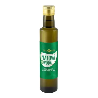 Purity Vision BIO Mátová voda 250 ml