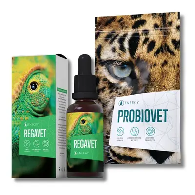 Energy Regavet + Probiovet set