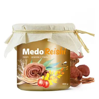 MycoMedica MedoReishi 400g