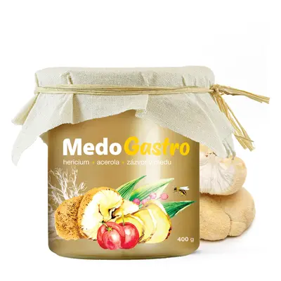 MycoMedica MedoGastro 400g