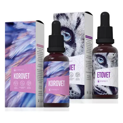 Energy Korovet a Etovet set ( 2x 30 ml )