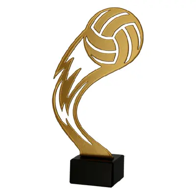 Zlatá kovová trofej | Volejbal