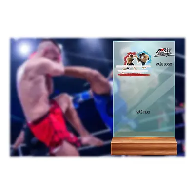 Skleněná trofej na dřevěném podstavci | Kickbox Výška: 16 cm