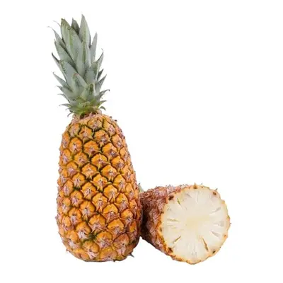 Kunratická stodola – Ananas cukrový