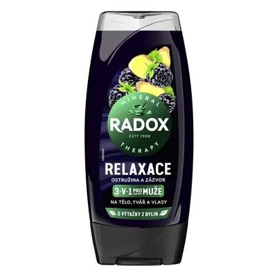 Radox Relaxace Sprchový gel pro muže 3 v 1