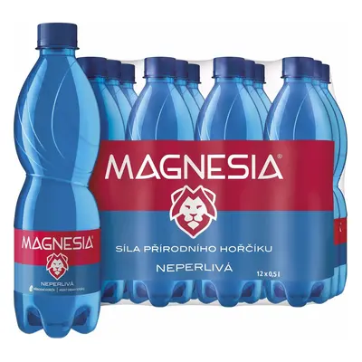 Magnesia Neperlivá 12×0,5 l