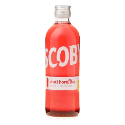 Scoby kombucha Dračí Borůffka