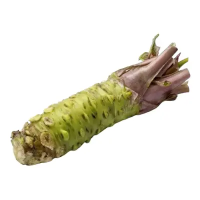 Wasabi (Japonský křen), 1 ks