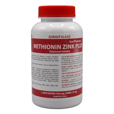 AcePharma Methionin zink Plus 100 tobolek