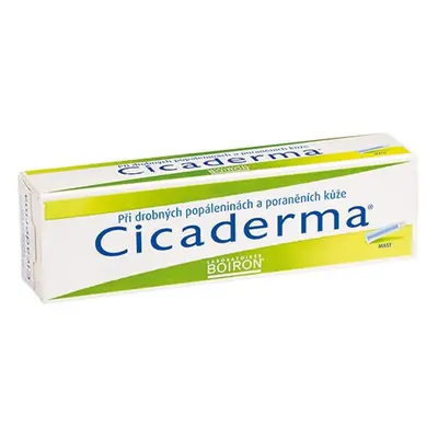 CICADERMA mast 30G