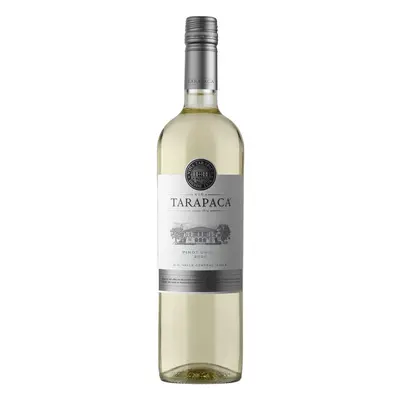 Tarapacá Pinot Grigio varietal