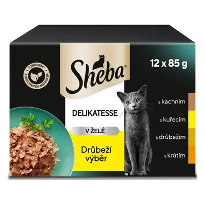 Sheba Delicacy drůbeží výběr v želé kapsičky pro dospělé kočky 12×85 g