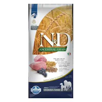 N&D Ancestral Grain granule pro dospělé psy středních a velkých plemen s jehněčím a borůvkami