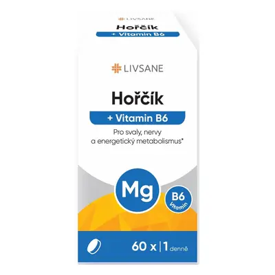 LIVSANE Hořčík + Vitamin B6 tbl.60