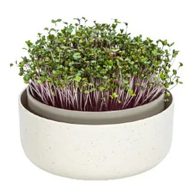 Microgreens sada – slonová kost