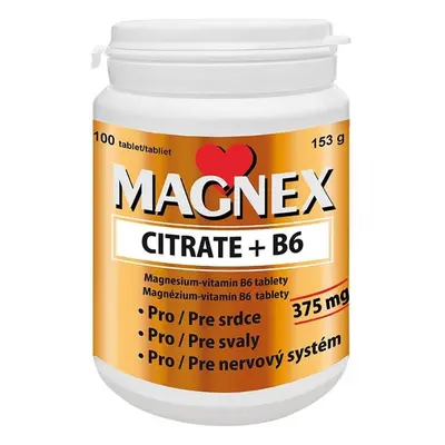 Magnex citrate 375mg+B6 tbl.100