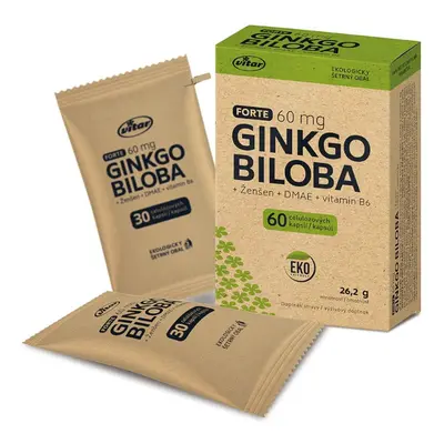 Vitar Ginkgo biloba 60mg+DMAE+vit.B6 EKO cps.60