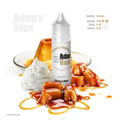 Příchuť Adams Vape Shake and Vape 12/60ml Caramel Pudding