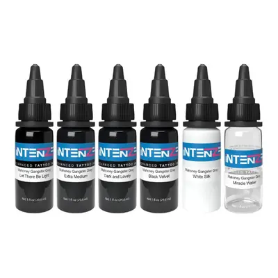 Tetovací barvy Intenze Ink Gen-Z - Mark Mahoney Gangster Grey Set 6x 30 ml