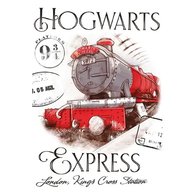 Carbotex Dětský ručník Harry Potter Bradavický Express 30x50 cm